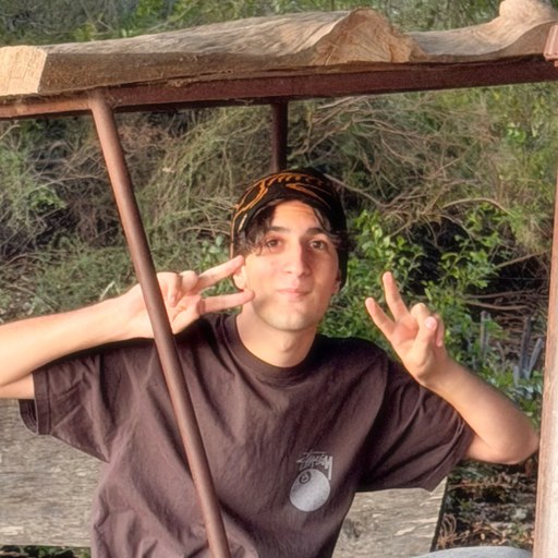 Shaayan Ghaeli
