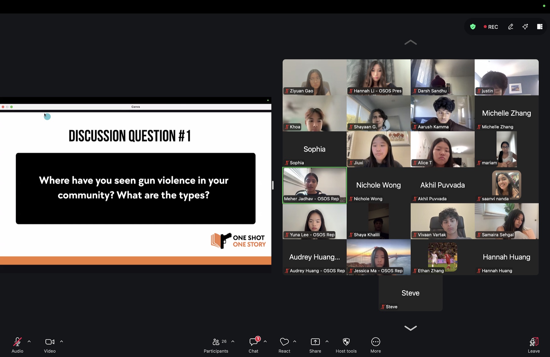 OSOS interns participating in the opening virtual session